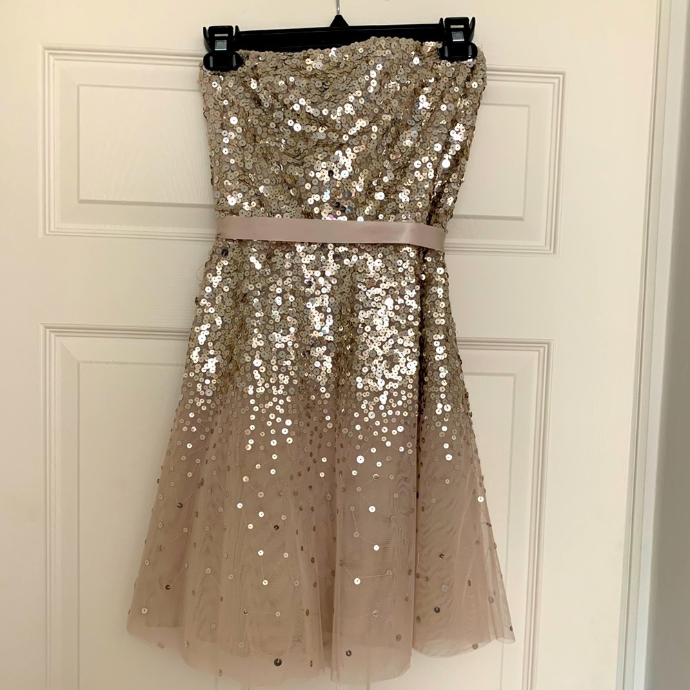 BCBG MaxAzria Champagne/Gold Ombré Glitter Dress.